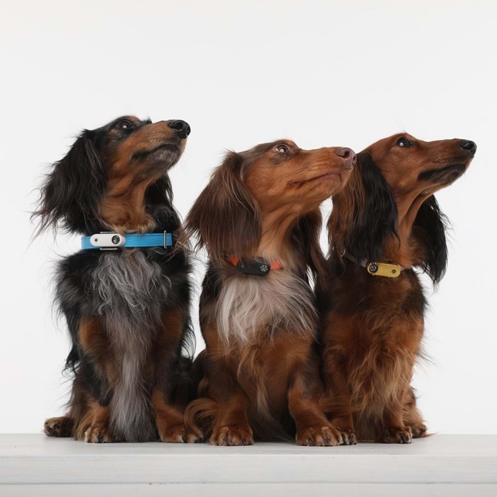 Tickless Mini Dog Şarjlı Ultrasonic A.Pembe - Köpek İçin Kene Bit Pire Kovucu