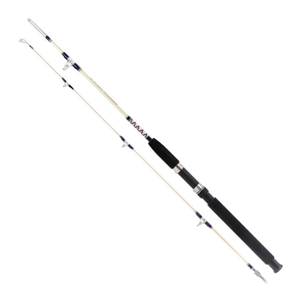 Remixon Hurricane 300cm Vidalı 2 Parça Dolgu 15-30lb Olta Kamışı