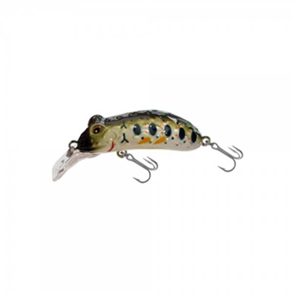 Japanese Chico HG2569