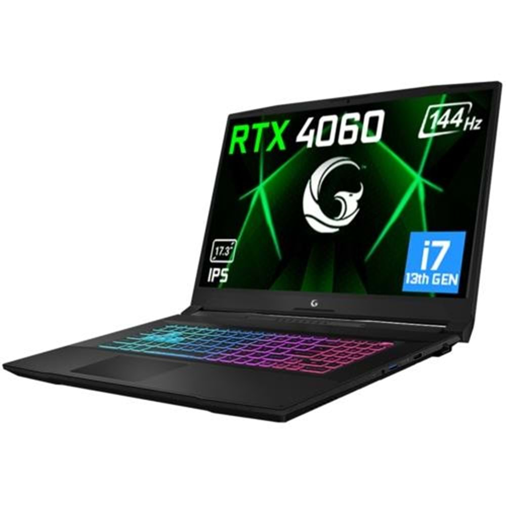 GAMEGARAJ SLAYER3 7XL-4060 C1 i7-13700H 16GB 1TB RTX4060 17.3