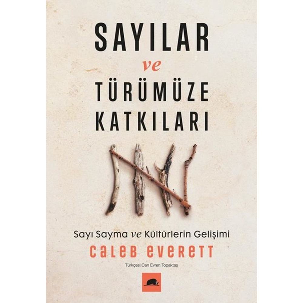 Sayılar ve Türümüze Katkıları