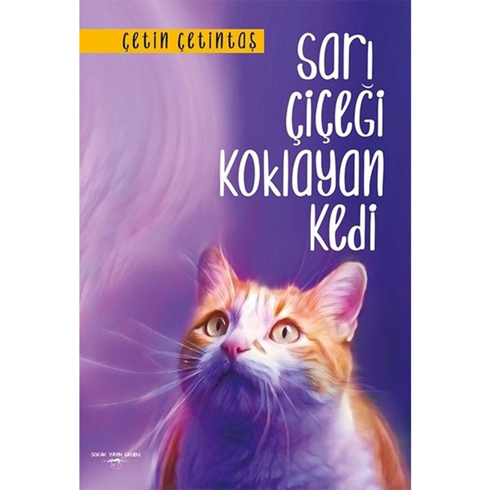 Sarı Çiçeği Koklayan Kedi