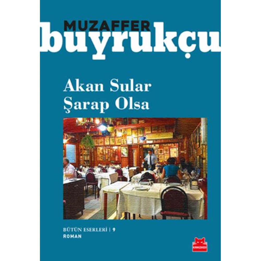 Akan Sular Şarap Olsa Bütün Eserleri 9