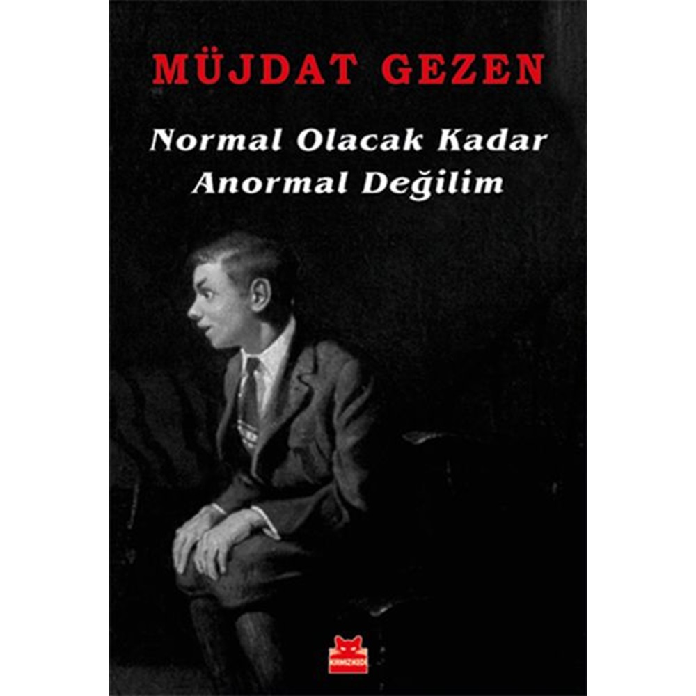 Normal Olacak Kadar Anormal Değilim