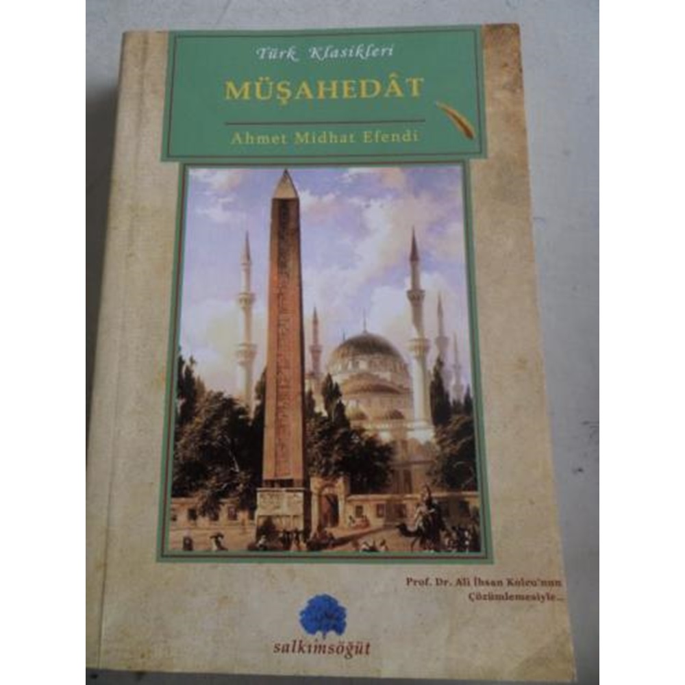 MÜŞAHEDAT / SALKIMSÖĞÜT