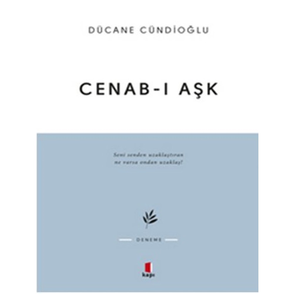 Cenab-ı Aşk