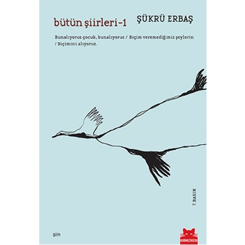 Bütün Şiirleri 1