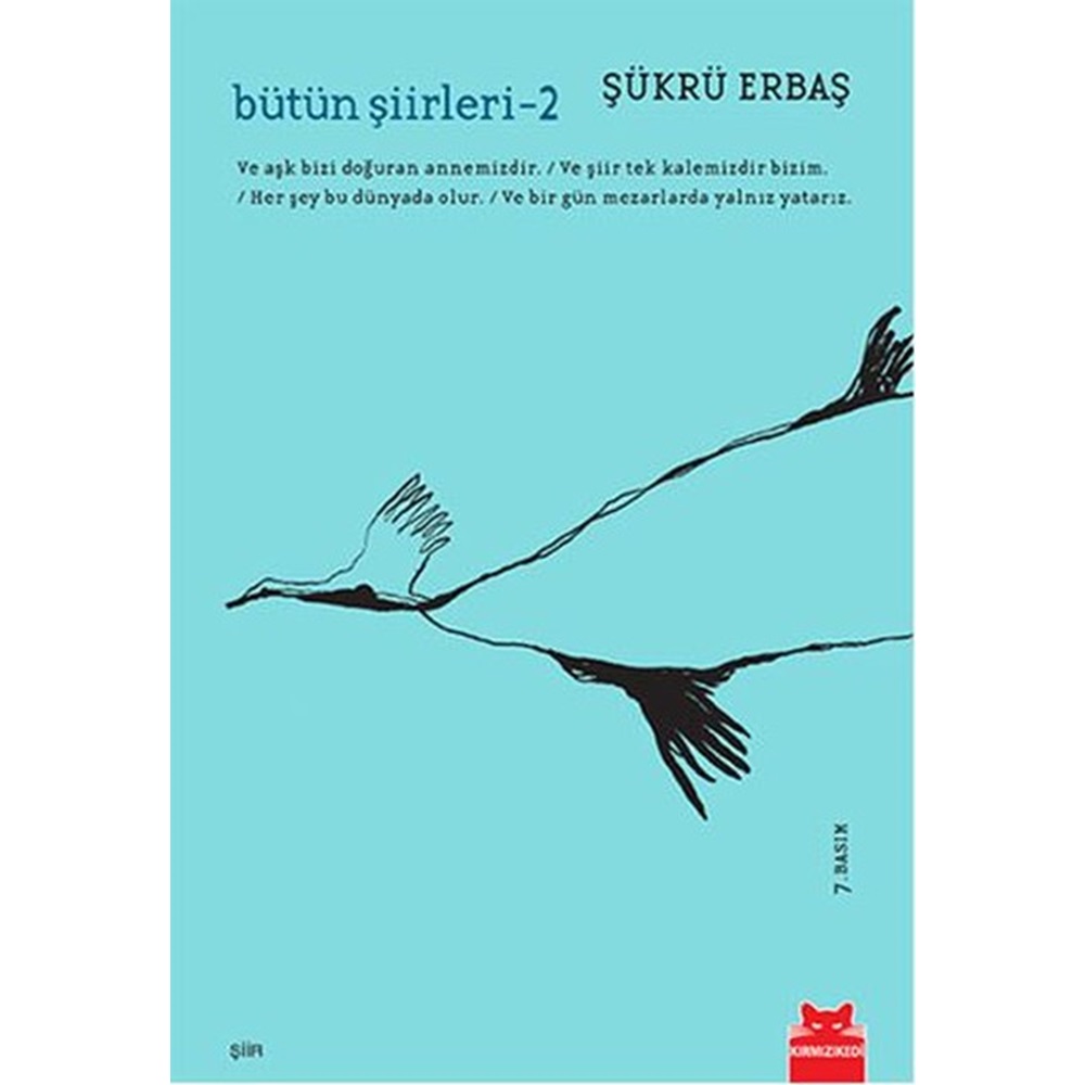 Bütün Şiirleri 2