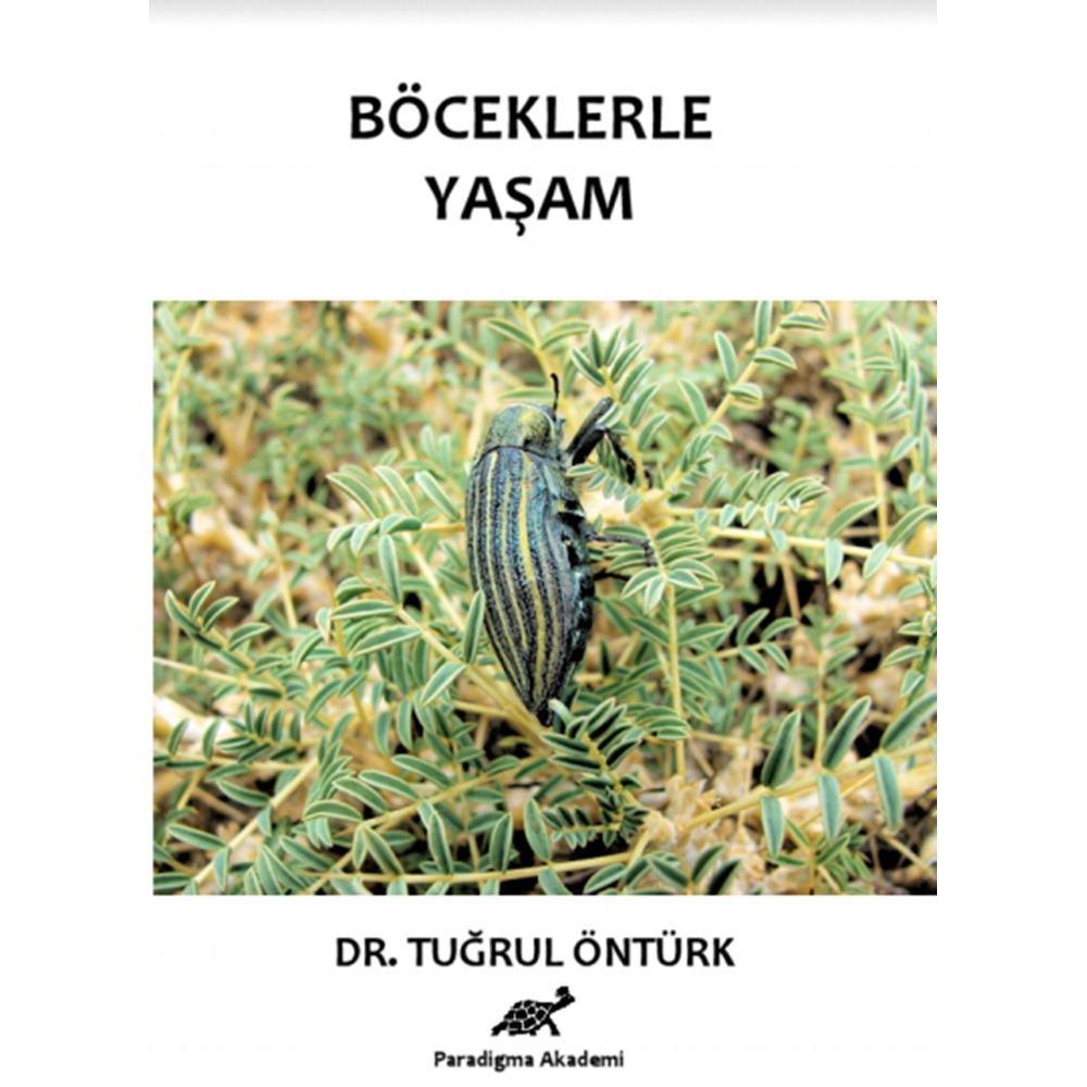 Böceklerle Yaşam