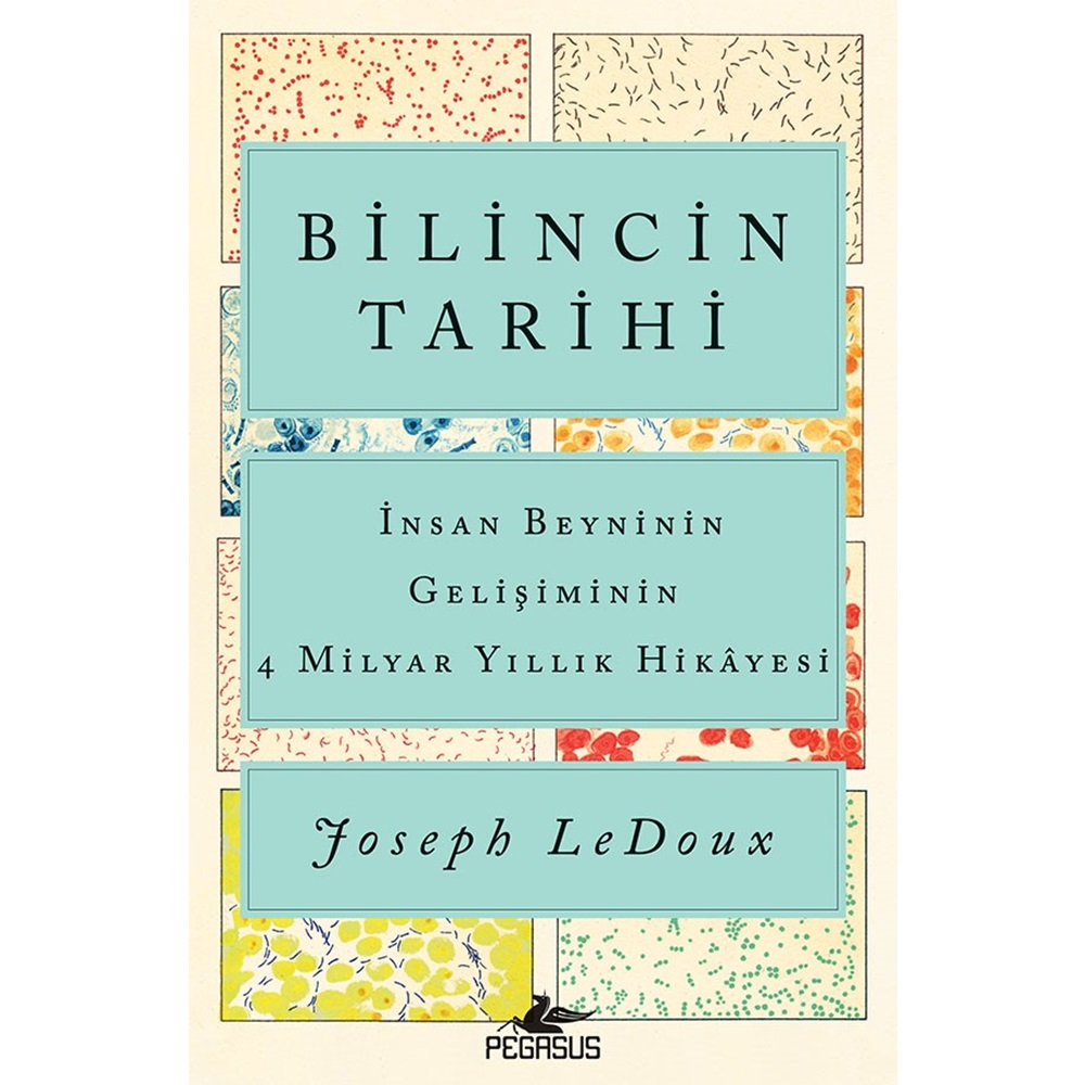 Bilincin Tarihi İnsan Beyninin Gelişiminin 4 Milyar Yıllık Hikayesi