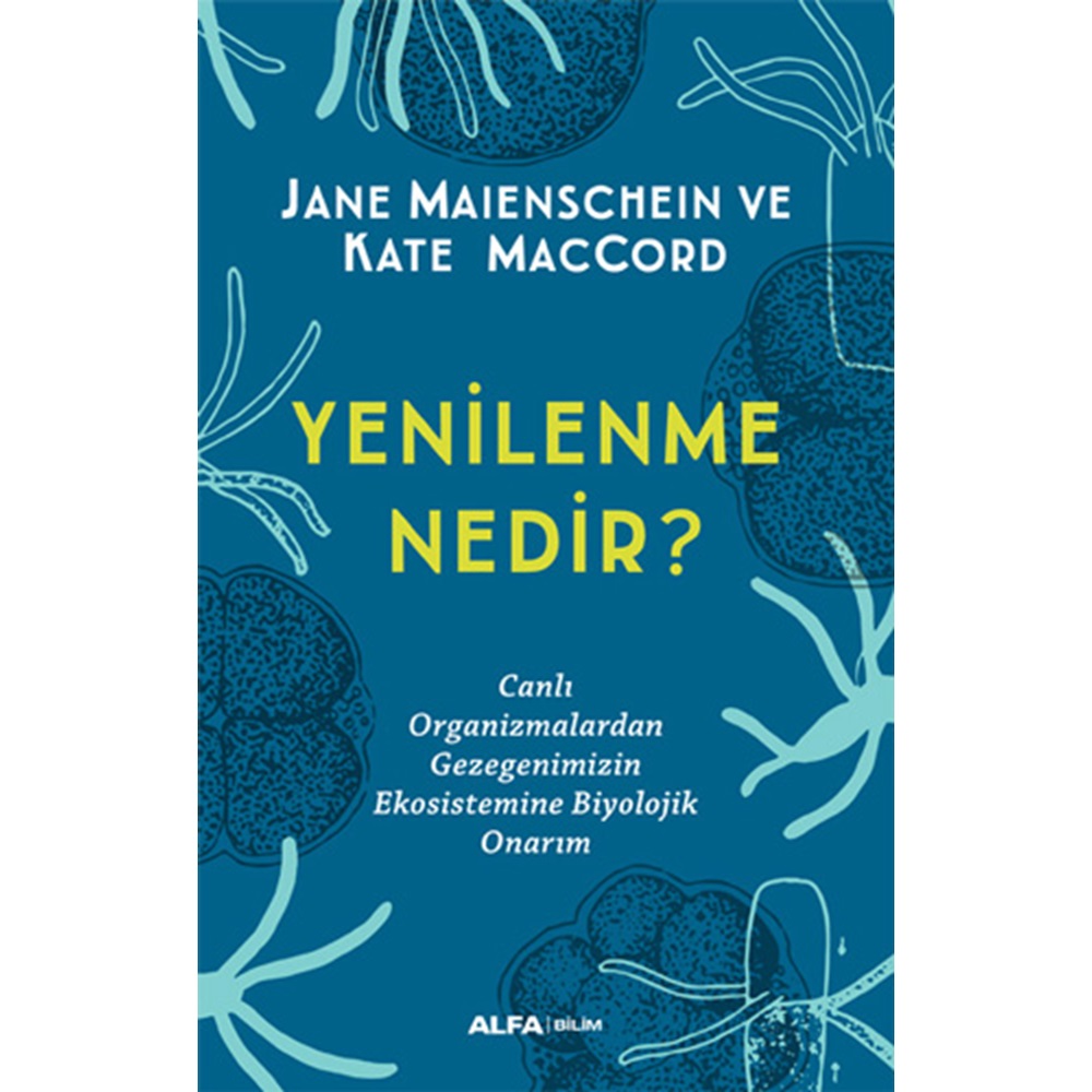 Yenilenme Nedir?