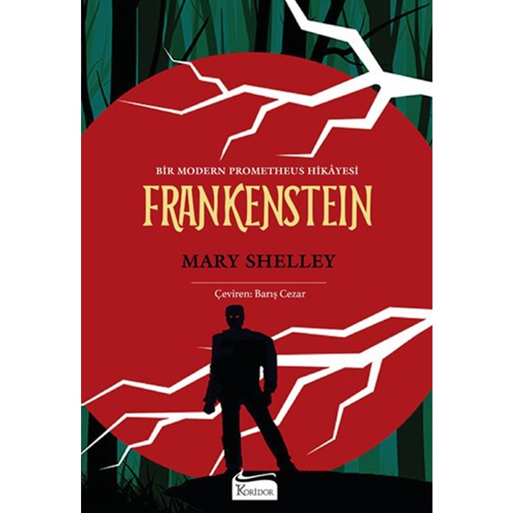 Frankenstein - Mary Shelley