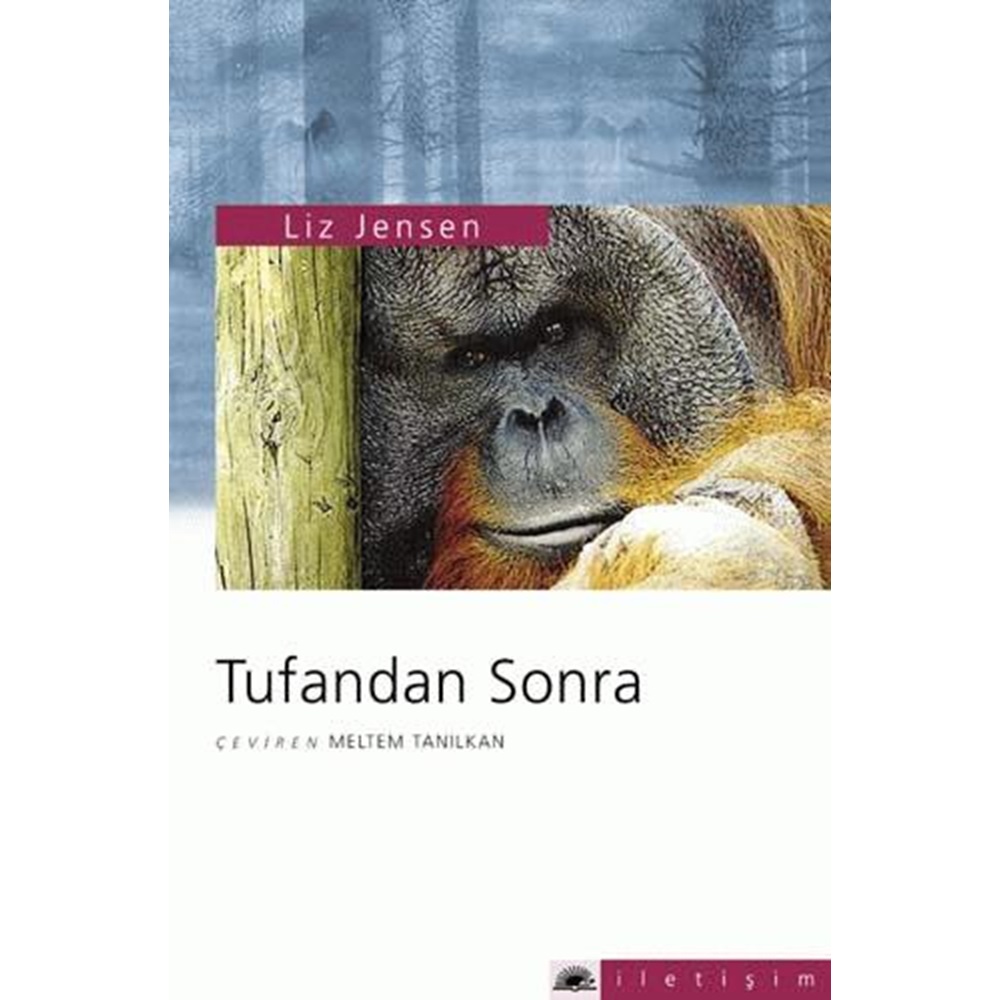 Tufandan Sonra