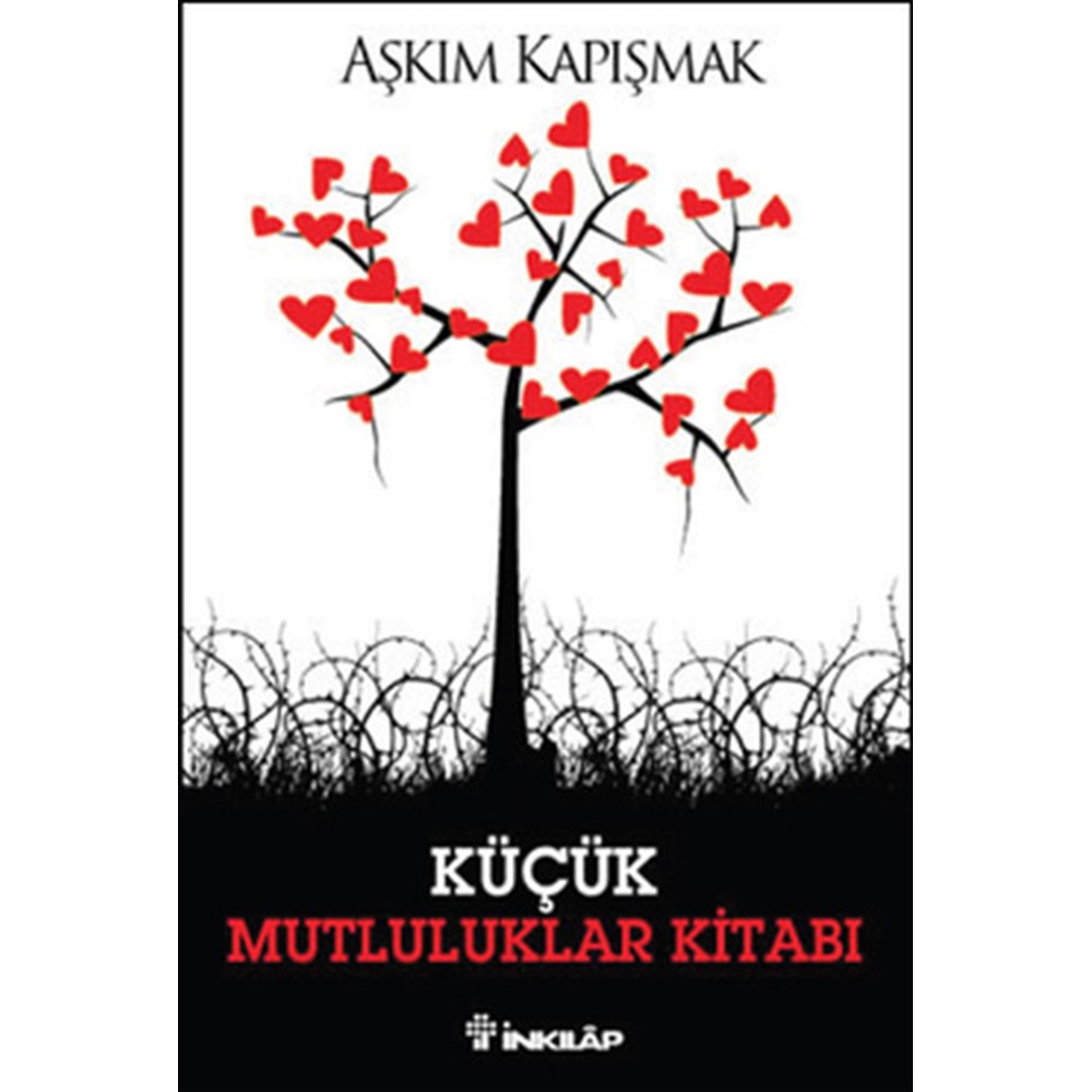 Küçük Mutluluklar Kitabı