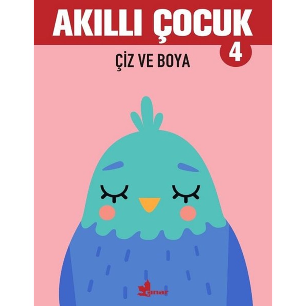 Çiz ve Boya Akıllı Çocuk 4