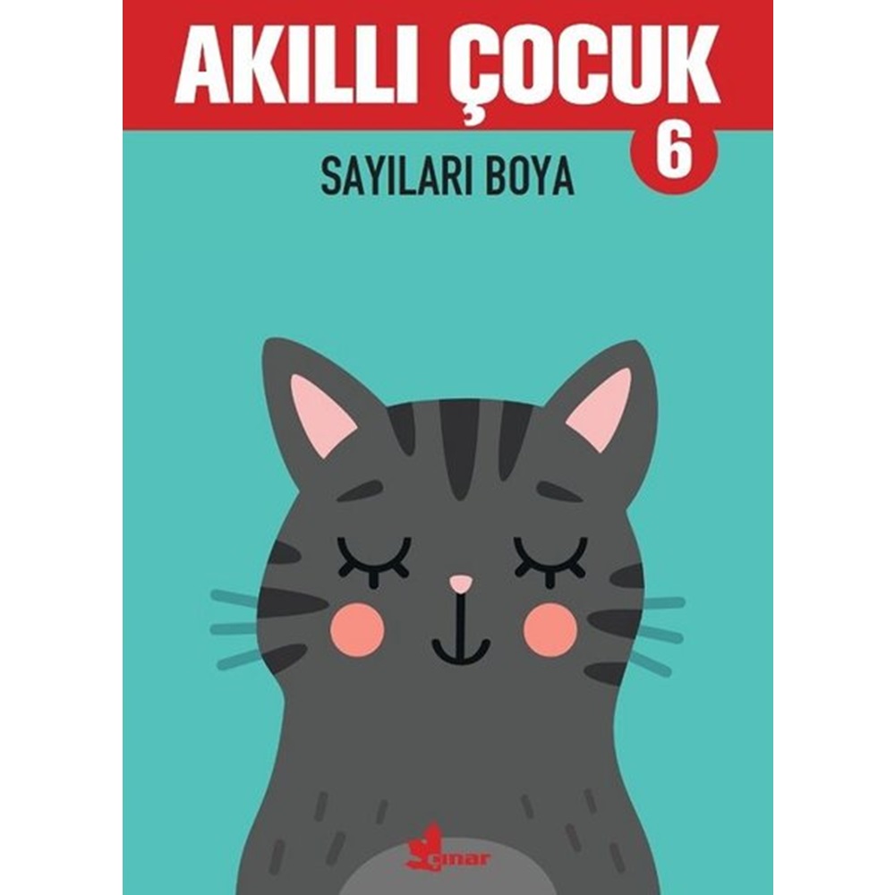 Sayıları Boya Akıllı Çocuk 6