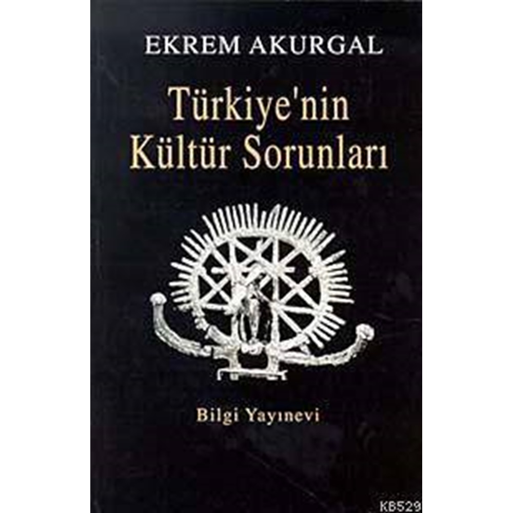 Türkiyenin Kültür Sorunları