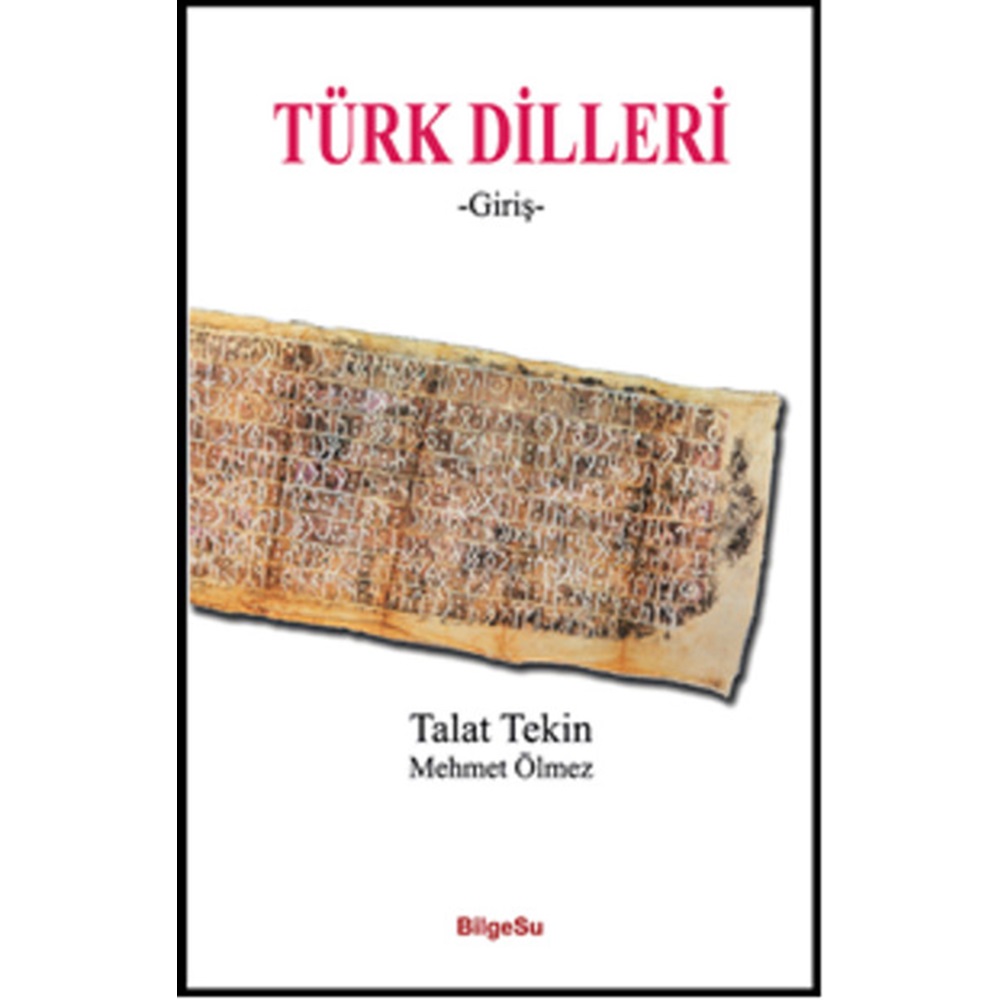 Türk Dilleri