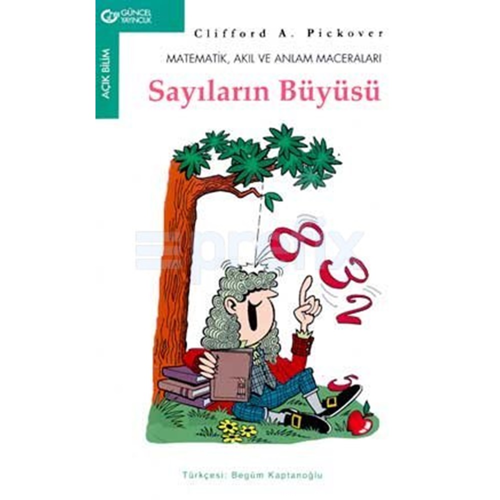 Sayıların Büyüsü