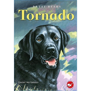 Tornado