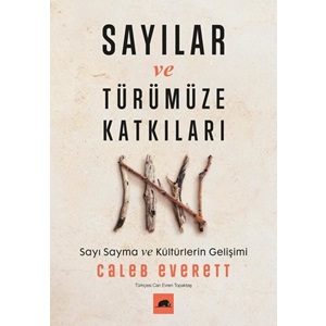 Sayılar ve Türümüze Katkıları