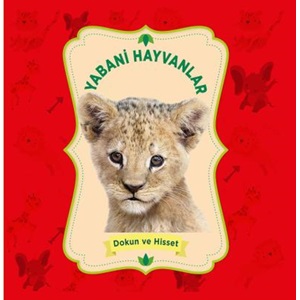 Yabani Hayvanlar Dokun ve Hisset