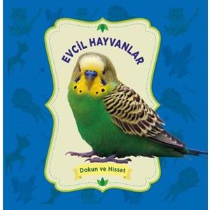 Evcil Hayvanlar Dokun ve Hisset