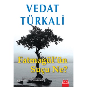 Fatmagül'ün Suçu Ne