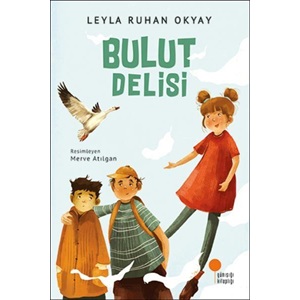 Bulut Delisi