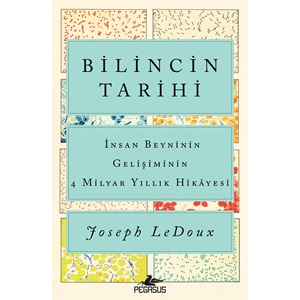 Bilincin Tarihi İnsan Beyninin Gelişiminin 4 Milyar Yıllık Hikayesi