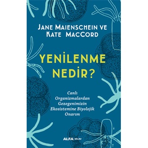 Yenilenme Nedir?