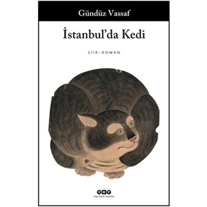 İstanbulda Kedi