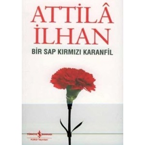 Bir Sap Kırmızı Karanfil