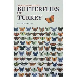 A Field Guide To The Butterflies Of Turkey Türkiyenin Kelebekleri