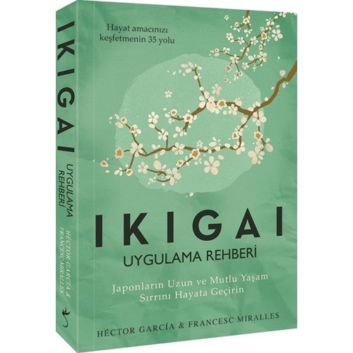 Ikigai - Uygulama Rehberi