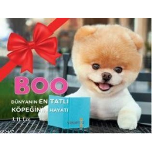 Boo Dünyanın En Tatlı Köpeğinin Hayatı