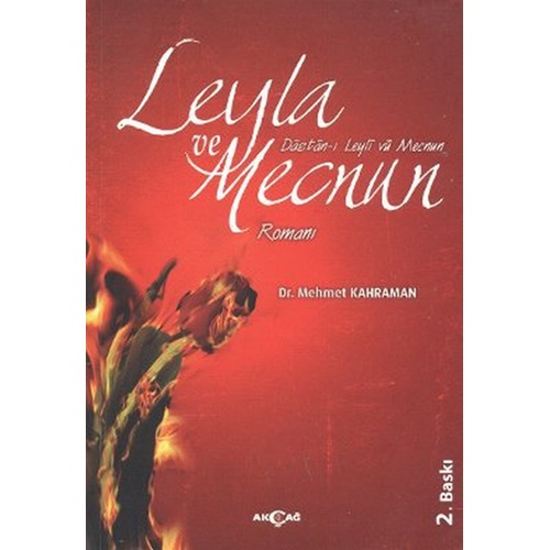 Leyla ve Mecnun Romanı