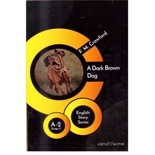 A Dark Brown Dog A2 Stage 2