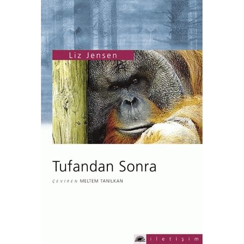 Tufandan Sonra