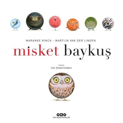 Misket Baykuş