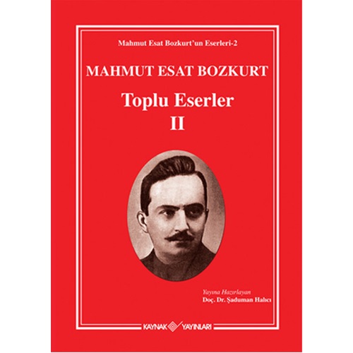 Mahmut Esat Bozkurt Toplu Eserler-II