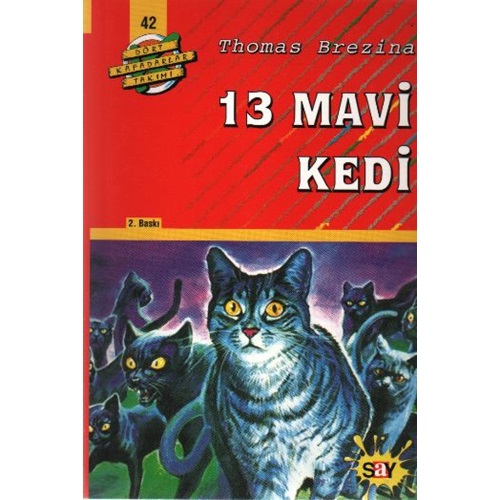 Dört Kafadarlar Takımı 42 - 13 Mavi Kedi