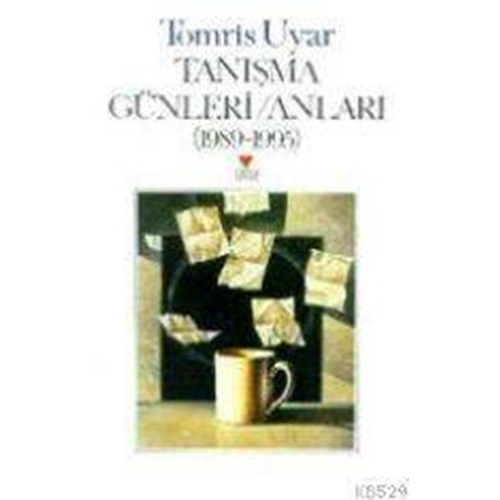 TANIŞMA GÜNLERİ/ANLARI (1989-1995)