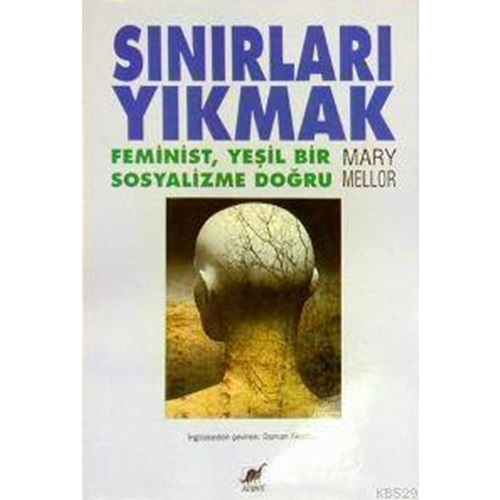 SINIRLARI YIKMAK