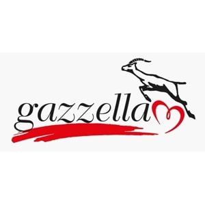 Buharlı Mini El Ütüsü Ev Tipi Kombine Fişli